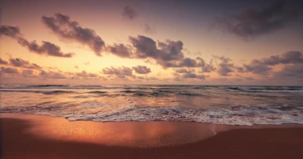 Plaj Kıyıları Dalgalar Üzerinde Tropik Okyanus Gündoğumu Güneş Deniz Ufkundan — Stok video