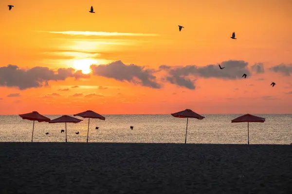 Umbrellas, flying birds and tropical beach and golden sunrise over the sea horizon