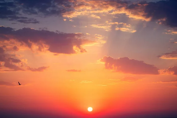 Cloudscape Dramatic Orange Sky Sunset Shot — Stock Photo, Image