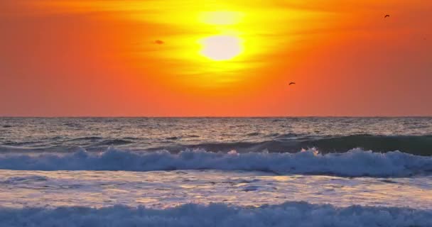 Krásný Oceán Východ Slunce Létající Ptáci Nad Mořským Horizontem Vlny — Stock video