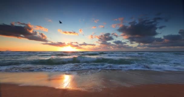 Tropisk Gyllene Soluppgång Över Havet Vågor Och Strand Strand Havet — Stockvideo