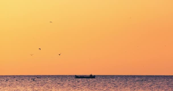 Золотой Восход Солнца Над Морским Горизонтом Парусная Рыбацкая Лодка Свободные — стоковое видео
