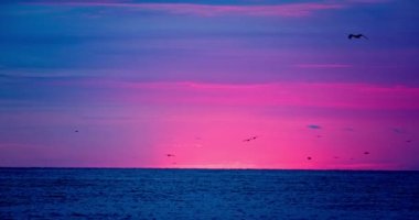 Deniz manzarası, deniz ufkunda gün doğumu ve sabah videosunda dalgalı suyun üzerinde uçan martılar.