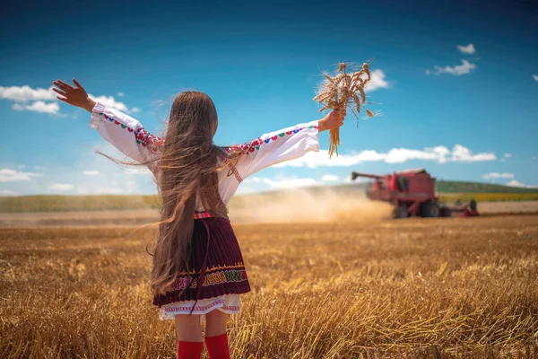 Jovem Com Traje Tradicional Folclore Búlgaro Campo Trigo Agrícola Durante — Fotografia de Stock