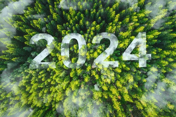 Neues Jahr 2024 Umwelt Inspirierend Abstrakte Natur Hintergrund Von Kiefern — Stockfoto