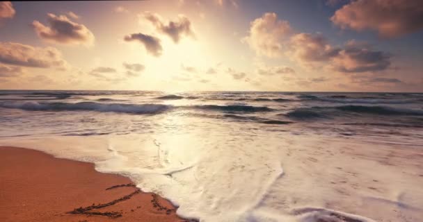 2024 Szilveszteri Szöveg Homokba Írva Trópusi Strandon Gyönyörű Napfelkeltekor Felhőkkel — Stock videók