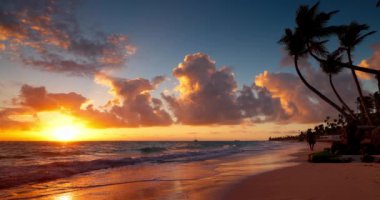 Palmiye ağaçları ve Karayip Denizi üzerinde gün doğumuyla tropik cennet sahili plajı, rahatlama ve canlı videolar için egzotik deniz manzarası.