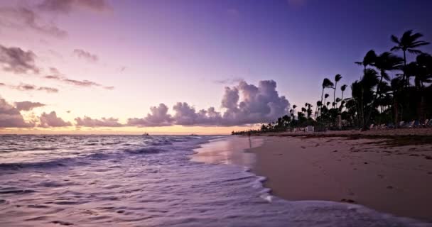 Meer Strand Sonnenaufgang Tropische Landschaft Der Karibik Und Strand Küste — Stockvideo