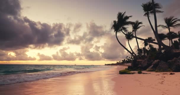 Paradiesische Meereslandschaft Mit Tropischem Sonnenaufgang Über Strand Und Karibischen Meereswellen — Stockvideo