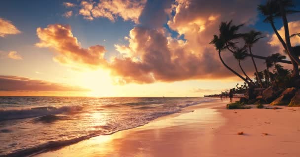 砂浜にヤシの木と波が付いている熱帯の島 美しい日の出プンタカナリゾート ドミニカ共和国で人々を歩き ランニング — ストック動画