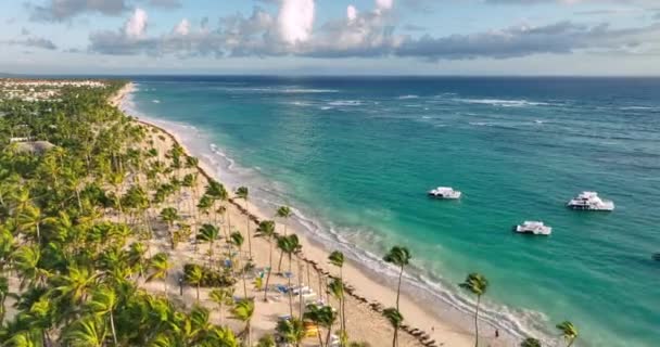 トロピカルアイランドビーチショアエキゾチックなパラダイス白砂 ターコイズカリブ海 ヤシの木 プンタカナリゾート ドミニカ共和国の空中ビデオ — ストック動画