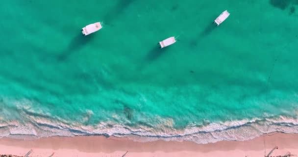 Schwimmende Yachten Und Katamarane Klarem Türkisfarbenem Karibischem Meer Und Inselküste — Stockvideo