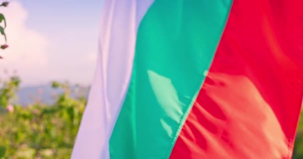 Bulgarisk Flagga Och Vacker Flicka Plocka Olja Bärande Rosor Damascena — Stockvideo