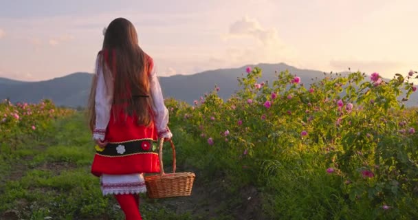 Болгарська Дівчина Символ Болгарської Краси Сильного Духу Йде Через Рожеве — стокове відео