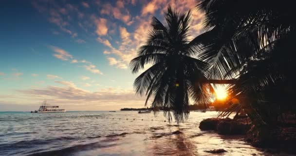 エキゾチックなヤシの木の葉のシルエットが付いている熱帯島の野生のビーチ 海岸の水の日没の眺め 海岸の日の出の風景4Kビデオ — ストック動画
