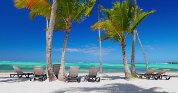 熱帯島のエキゾチックな夏の目的地 カリブ海 ビーチ ヤシの木 太陽の椅子自然景色4Kビデオ — ストック動画