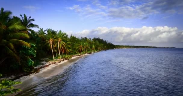 Wilde Inselstrandküste Mit Dschungel Und Exotischer Lagune Tropische Palmen Und — Stockvideo