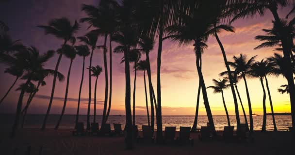 Захід Сонця Панорамний Вид Узбережжя Тропічного Острова Пальмами Морським Пляжем — стокове відео