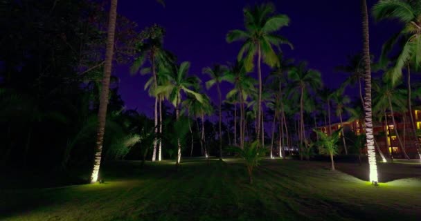 Ночной Вид Пальмовый Сад Морского Курорта Пляжными Балаганами Виллами Видео — стоковое видео