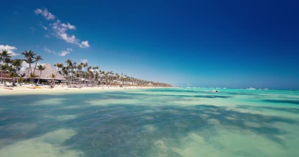 Райський Острів Тропічний Пляж Берег Бірюзовий Карибський Морський Пейзаж Вітрильний — стокове відео