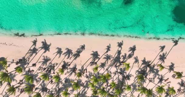 熱帯の島の目的地の空中トップパノラマビュー ヤシの木とターコイズの海とのエキゾチックなビーチ 砂と水4Kドローンビデオで人々をリラックスさせる — ストック動画