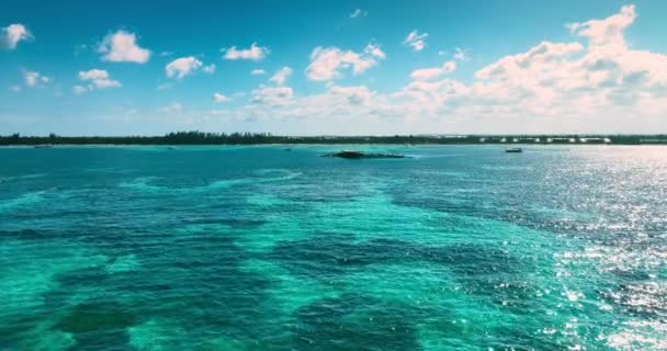 カリブ海のサンゴ礁とプールの空中パノラマビュー 水中の熱帯島とヤシの木と野生のビーチショアと地平線 4Kドローンビデオ — ストック動画