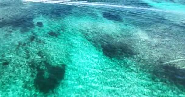 Вид Воздуха Рифы Бассейны Карибском Море Скоростной Парусник Воде Видео — стоковое видео