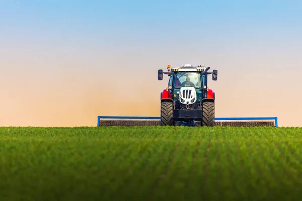 春のフィールドにローラーティレージを持つトラクター 土壌圧延は発芽をサポートし 良好な収穫 有機農業と農業の基盤です ロイヤリティフリーのストック写真
