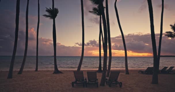 Ocean Plaża Zachód Słońca Palmami Horyzontem Morskim Karaibski Wschód Słońca — Wideo stockowe