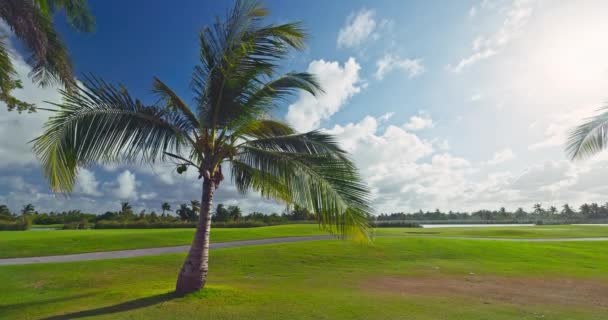 朝のゴルフコースフィールドと熱帯エキゾチックなカリブ海の自然 美しい風景 — ストック動画
