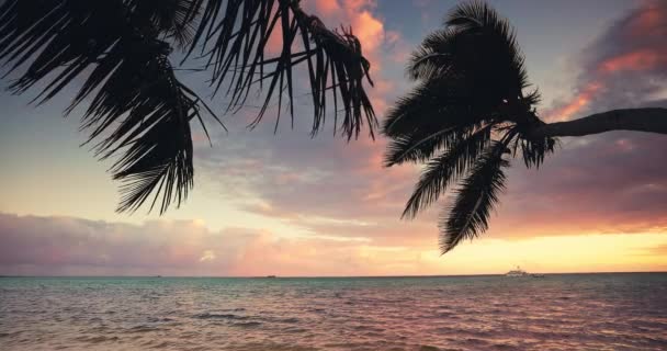 Paradies Tropischen Inselblick Mit Palmen Richtung Meer Horizont Goldene Sonnenstrahlen — Stockvideo