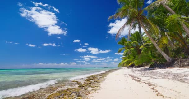 Wilde Tropische Insel Strand Mit Palmen Dschungel Und Karibischem Meer — Stockvideo