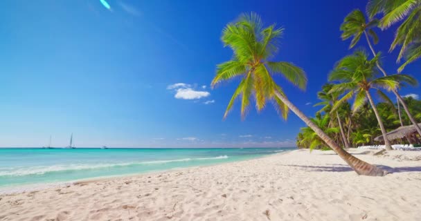 Dominikanische Republik Wilde Strandküste Der Insel Saona Und Karibik Tropisches — Stockvideo