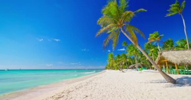 Karayipler 'deki egzotik ada plajı. Palmiye ağaçları ile yaz tatili için tropik bir yer.