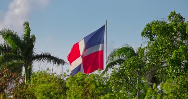 Dominikanische Republik Flagge Der Dominikanischen Republik Und Palmen Naturlandschaft Video — Stockvideo