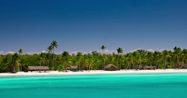 Reise Zur Wilden Insel Saona Dominikanische Republik Exotischer Tropischer Strand — Stockvideo
