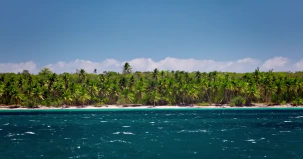 Wilde Tropische Insel Strand Mit Dschungel Von Palmen Und Ruhigem — Stockvideo