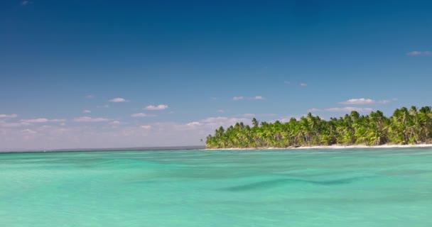 Reizen Rond Wilde Stranden Dominicaanse Republiek Exotisch Tropisch Eiland Strand — Stockvideo