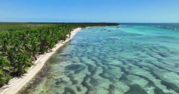 パラダイスワイルドトロピカルアイランドビーチコースト ヤシの木ジャングルとカリブ海 エキゾチックな自然景観の空中パノラマ4Kビデオ — ストック動画