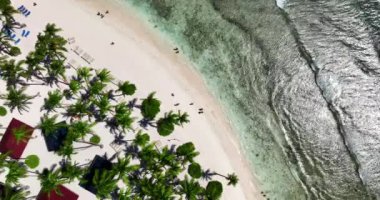 Dominik Cumhuriyeti 'ndeki tropik bir ada sahilinde cennet gibi egzotik bir tatil Punta Cana' da deniz aşırı bir manzara.