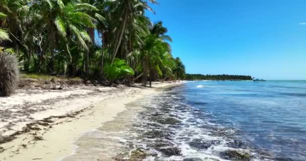 Trópusi Tengerpart Karib Tenger Egzotikus Paradicsom Vad Sziget Dominikai Köztársaság — Stock videók