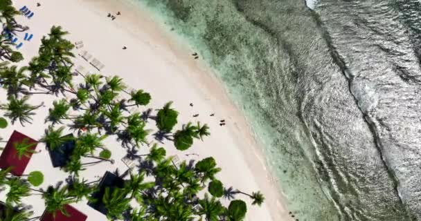 ドミニカ共和国のトロピカルアイランドビーチでのパラダイスエキゾチックな休暇 プンタカナの海岸の上の空中ビュー — ストック動画