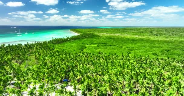 Wilde Insel Saona Naturschutzgebiet Dominikanische Republik Mit Tropischen Exotischen Strand — Stockvideo