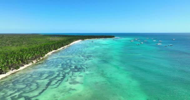 カリブ海の野生の熱帯ビーチとカタマランボートとドミニカ共和国 観光とリラクゼーションのためのエキゾチックな目的地 — ストック動画