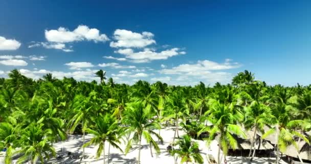 サナ島のワイルドビーチ ドミニカ共和国 晴れた日の空中パノラマ 観光や旅行Hdr 4Kビデオのためのカリブ海の熱帯の目的地 — ストック動画