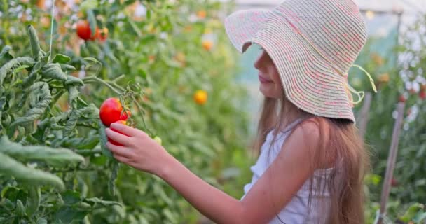 Agriculteur Jardinière Femme Bulgare Fille Travaillant Plein Air Dans Une — Video