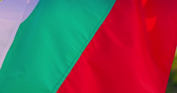 Болгарський Прапор Болгарка Дівчина Рожевому Полі Збирає Олію Трояндами Дамасена — стокове відео