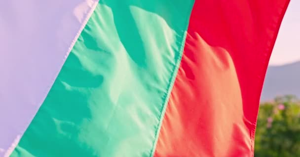 불가리아 깃발과 베어링 Damascena 해돋이 Shipka와 비디오에 필드에 — 비디오