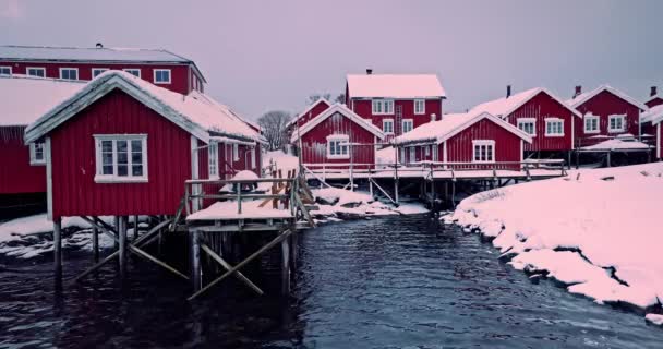 Lofoten Öar Norge Reine Röda Hus Fiskeby Havsstrand Vinter Snöig — Stockvideo