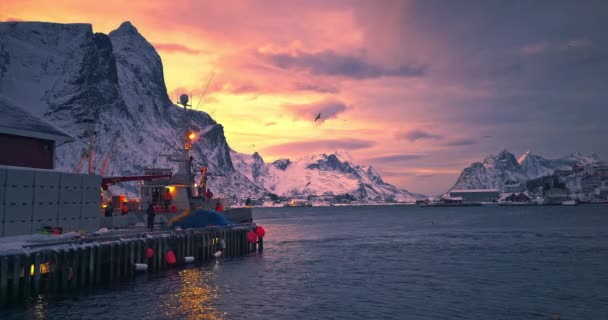 Vissers Die Vissersschepen Voorbereiden Noordelijke Haven Lofoten Noorwegen Europa Bergen — Stockvideo